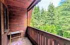 Cabană – Mureș – Sălard – Zona Pensiunea Denisa - 9