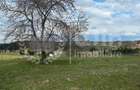 Teren intravilan ideal pentru investitie 1716mp | Front 38m | Marisel - 2