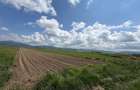 Teren extravilan 10.000 mp - Ieșire Prejmer spre Cărpiniș - 3