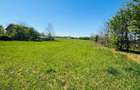 Teren intravilan 3800 mp Alparea lângă pădure - 1