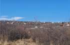 Loturi de la 430 la 480mp teren intravilan pentru contructii - Daia Nouă - 11