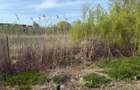 Ideal Teren intravilan  – deschidere directă la lac | 883 mp | Utilități | - 9