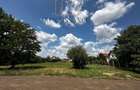Dumbravita Teren Intravilan 1466mp Front 29m | Langa Padure - 17