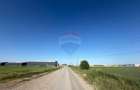 Teren 10.555mp Clinceni /Strada Drumul Mare 850 până la Sos de Centură - 9