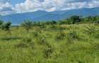 Teren de vânzare în Calea Cisnădiei, Sibiu – 550 mp, PUZ aprobat, vedere superbă - 8