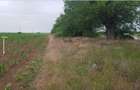 TEREN CU POTENTIAL INDUSTRIAL | 4,35 HA | ARAD, ZADARENI - 9