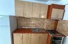 Apartament cu doua camere de inchiriat, decomandat, zona Parc Sub Arini. - 5