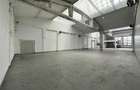 Showroom zona Carrefour Felicia Iasi, de la 107mp la 2000mp, Kaufland - 14