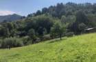 De vanzare teren unic in Brasov (vedere panoramica asupra orasului) - 2