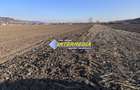 Teren intravilan de vanzare in Sard suprafete 600-800 mp - 3