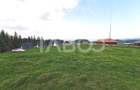 Teren cu puz intravilan in localitatea Paltinis din judetul Sibiu - 2