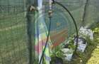 TEREN BREASTA DUPA POD 827 mp - 6