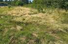 Casă cu teren de 5.700 mp, Pădureni,se accepta si schimb cu apt in Iasi - 19