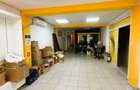 Vanzare - Vila Premium cu Potential de Business - Vidra - 37