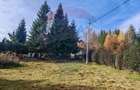 Cabană de vânzare în Muntele Băișorii – Zona Jera - 4