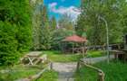 COMPLEX HOTELIER POTENTIAL EXTINDERE | PREDEAL CIOPLEA | 2734 MP TEREN - 6