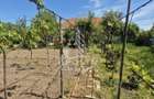 Casă renovată complet, cu garaj și anexe, în Satchinez, Timiș - 17