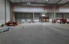 Spatiu Industrial - 1200 mp - Logistica - Productie - Depozitare - Distributie - 14