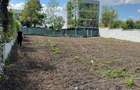 Teren exclusivist | Lacul Grivița | 2.000mp | Fabrica de Cărămida - 4