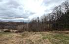 TEREN 34.000 MP | SERANI BIHOR - 4