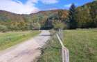 Teren extravilan Rasnov , Glajerie-Str Poiana velicanului, 2 X 1100mp - 3