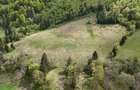Extravilan + Intravilan | Sătic-Rucăr | Cadru natural | Turistic - 4