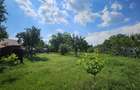 Teren intravilan 1400mp, deschidere 20mp, Snagov - 4