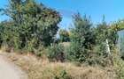 Teren 1,035mp Roznov / Strada Șes - 6