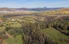 Teren intravilan în Zărnești, zona Tohanita, cu pădurice și parau curg - 1