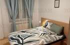 Ultracentral si linistit: Apartament 3 camere de inchirat, proaspat renovat, lan - 12