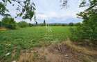 Teren intravilan drept 12.432mp, drum asfalt, utilitati, zona Centura Grigorescu - 2
