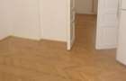 CASIN, AVERESCU, parter in VILA, LUX, nemobilat, utilat, curte mare, superb - 18