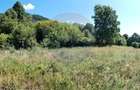 Teren 3,871mp Varmaga / None - 14