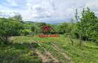 Teren intravilan in Poiana Campina--1954mp--23.500e - 2