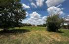Dumbravita Teren Intravilan 1466mp Front 29m | Langa Padure - 15