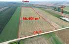 Teren intravilan de vanzare, 66400 mp, langa Oradea, Bihor  - 1