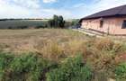 20E pe mp! 1400mp in Proselnici, execelent amplasat, cu utilitati - 3