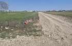 TEREN Intravilan Intre 2 complexe - Utilitati - 9500 MP Berceni/Vidra - 7