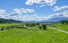 Teren intravilan In Zarnesti zona Plaiul Foii deschidere asfalt si priveliste - 9