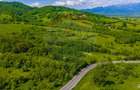 Teren 1ha Valea Glăjeriei - Rasnov | Comision 0% - 9