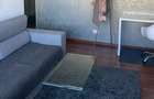 APARTAMENT LUMINOS RENOVAT LUX ZONA TINERETULUI - 3