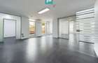 Spațiu de birouri în Complexul Plaza - 1