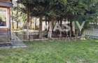 🏡 Casă din lemn masiv cu 7 camere, saună și teren generos – Azuga - 4