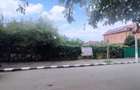 Vanzare teren Andronache, ideal vila - 3