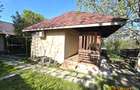 Proprietatea Breazu , teren 624mp, 2 case , beci , asfalt - 17
