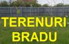 Terenuri Bradu, diverse suprafete - 1