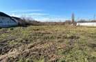 Loturi de teren de vanzare Calea Moldovei(langa SKODA), Bacau - 12