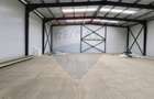 Spațiu industrial hala productie depozitare zona Theodor Pallady - 9