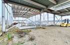 Vanzare Hala Semifinalizata sau Finalizata, Teren 4000mp, Mogosoaia - 4