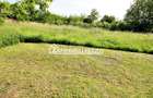 Casa 3 camere,102 mp, 1330 mp teren, 0% comision - 10